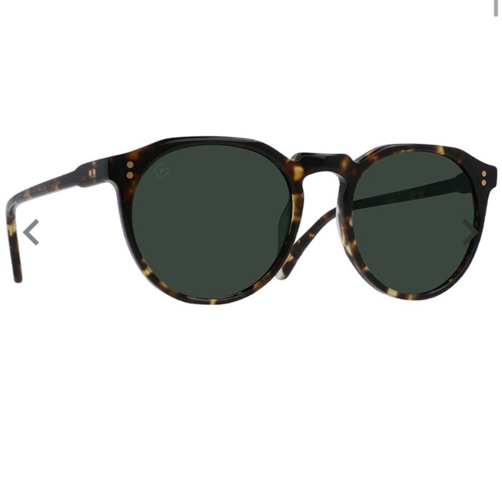 RAEN POLARIZED SUNGLASSES the remmy